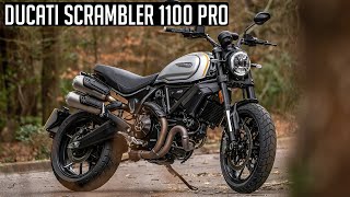 2020 Ducati Scrambler 1100 Pro  First Ride Review [upl. by Cooke]