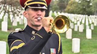 Honor The Fallen TAPS [upl. by Camm]