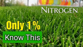 Bet You DONT Know This About Nitrogen Lawn Fertilizers [upl. by Luz]