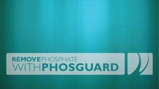 Remove Phosphate with PhosGuard without media reactor [upl. by Zuliram]