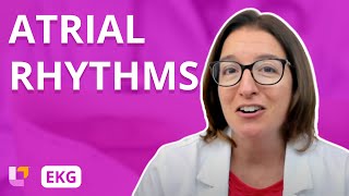 Atrial Rhythms  EKG Interpretation  LevelUpRN [upl. by Assylem]