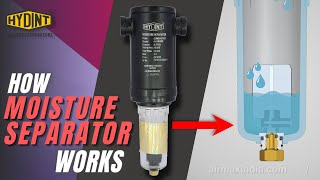 How Moisture Separator Works  How Auto Drain System works  Airmax Pneumatics LTD [upl. by Kaazi]