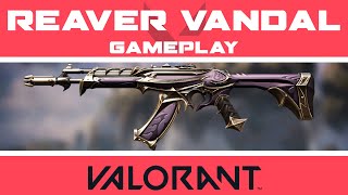 Reaver Vandal GAMEPLAY  All Chroma LevelsUpgrades  VALORANT Vandal Skin Showcase [upl. by Ahsa]