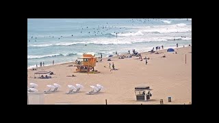 Miami Beach South Beach Webcam [upl. by Auqenahc]