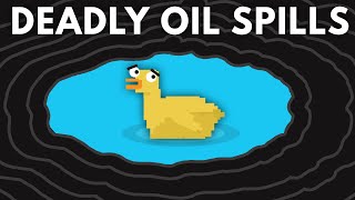 What Happens After An Oil Spill [upl. by Eneleahs]