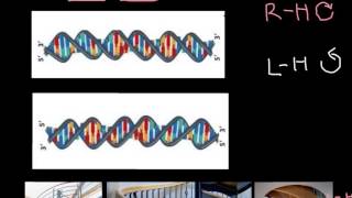 How to recognize LeftHanded and RightHanded DNA [upl. by Dori349]