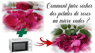 Comment faire sécher des pétales de roses au micro ondes  Tuto fleurs séchées facile et rapide DIY [upl. by Reiss]