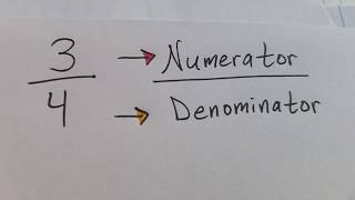 Fractions with Numerator and Denominator [upl. by Edalb96]