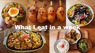 A week of meals  seven homemade meals🍚🥢 Japanese [upl. by Richey454]