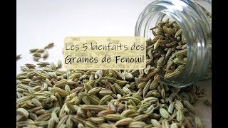 5 bienfaits des graines de Fenouil [upl. by Alfi]