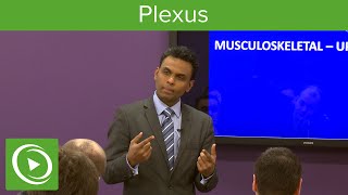 Plexus Structure amp Overview – MRCS  Lecturio [upl. by Ardnikal]