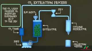 CO2 Extraction Technology [upl. by Kaitlynn810]