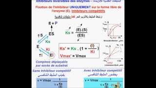 Enzymes Inhibiteurs compétitifs version Fr [upl. by Nellahs]