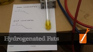 Hydrogenation transform liquid oil into solid fat [upl. by Devehcoy]