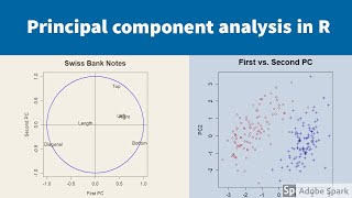 Principal component analysis in R [upl. by Naillij]