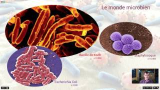 Le monde microbien [upl. by Aicilra]