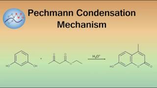 Pechmann Condensation Mechanism Coumarin Synthesis  Organic Chemistry [upl. by Colver174]