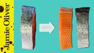 How To DeSkin A Fish Fillet  1 Minute Tips  Bart’s Fish Tales [upl. by Neirrad394]