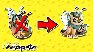 Is Neopets OVER spoiler no [upl. by Tare]