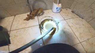 Sewer Drain Clog  Drain Pros Ep 29 [upl. by Aihtnic299]