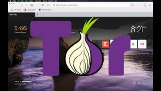 How To use Tor in the Brave Browser easy [upl. by Ratep79]