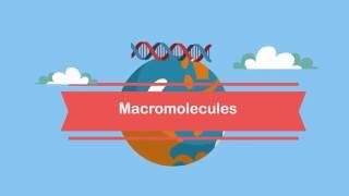 MacromoleculesA Beginners Guide [upl. by Damek854]