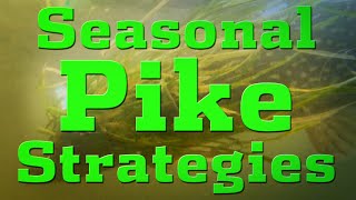 Seasonal Pike Strategies [upl. by Essyle]