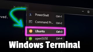 Windows Terminal and WSL Config Fast Simple and Easy Guide [upl. by Atilal601]