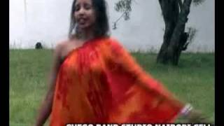 Sagal Arts Heestii GUDI New Video 2011flv [upl. by Arihs]