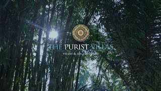 The Purist Villas Ubud Bali  A Luxury Design Resort In Paradise [upl. by Justicz]