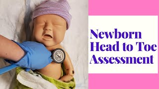 NEWBORN HEAD TO TOE ASSESSMENTOB SKILLS DEMO [upl. by Conner]