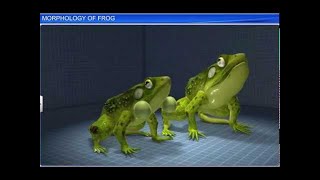 CBSE Class 11 Biology  Morphology of Frog  By Shiksha House [upl. by Leith]