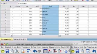 SPSS Umkodieren von Variablen [upl. by Esela]