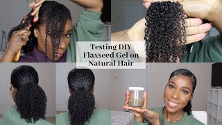 TESTING DIY FLAXSEED GEL  Natural Hair  TheLifestyleLuxe [upl. by Driscoll825]