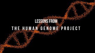 Incredible Animation Shows How Humans Evolved From Early Life [upl. by Llehcor178]