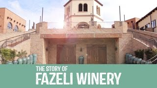 Fazeli Cellars Winery [upl. by Herwin]