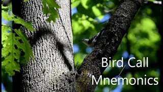 Schlitz Audubon Presents Spring 2017 Bird Call Mnemonics [upl. by Gosser]