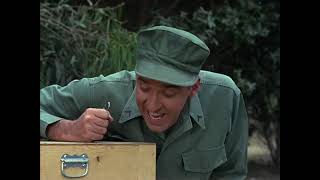 Gomer Pyle USMC Season 2 Episode 5 Gomer Untrains a Dog [upl. by Yahsram]