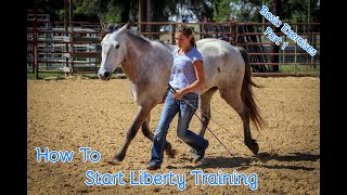 How To Start Liberty Training With Your Horse Basic Exercises Part 1 [upl. by Haimehen143]