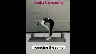 Ardha Uttanasana  Halfway Lift with Maria Toso  Yoga Teacher Training yogapose yoga [upl. by Harlamert223]