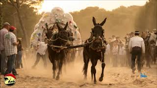 SEVILLANAS ROCIERAS COSITAS DEL ROCIÓ SEVILLANAS CAMINOS POR LA RAYA MEJORES OLEE  Video Oficial [upl. by Heise]