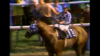 Secretariat at Arlington Park 1973 [upl. by Fokos545]