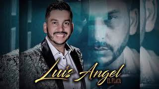 Cuando Ya No Esté Aquí  Luis Ángel El Flaco  En vivo con tuba [upl. by Nolava]