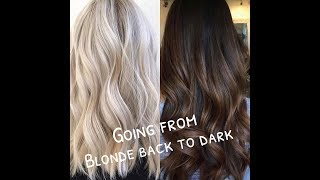 Advice on dying your hair from Blonde back to Dark Part 1 [upl. by Palmira]