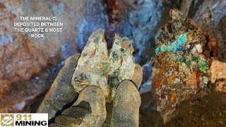 Exposing Gold Rich Quartz Vein amp Mineralized Host Rock [upl. by Alaehcim614]