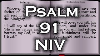 Psalm 91  New International Version NIV [upl. by Larochelle62]