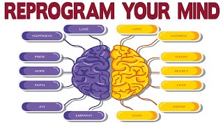 Dr Joe Dispenza  Learn How to Reprogram Your Mind [upl. by Aihsas]