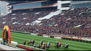 【SHATIN TURF】 HONG KONG HORSE RACE ANALYSIS [upl. by Alarick]