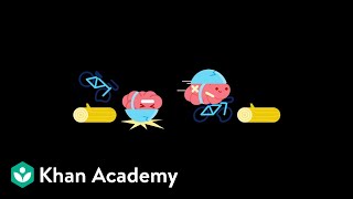 LearnStorm Growth Mindset The Truth About Your Brain [upl. by Rockie]