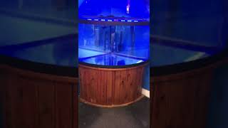 92 gallon corner Bowfront aquarium fish tank complete 800 [upl. by Juliann770]